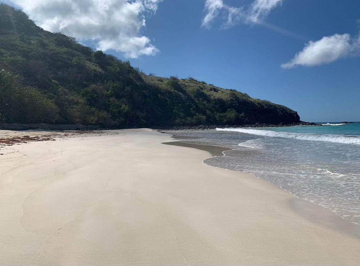 شقة El Balcon De Luly Isla Culebra المظهر الخارجي الصورة